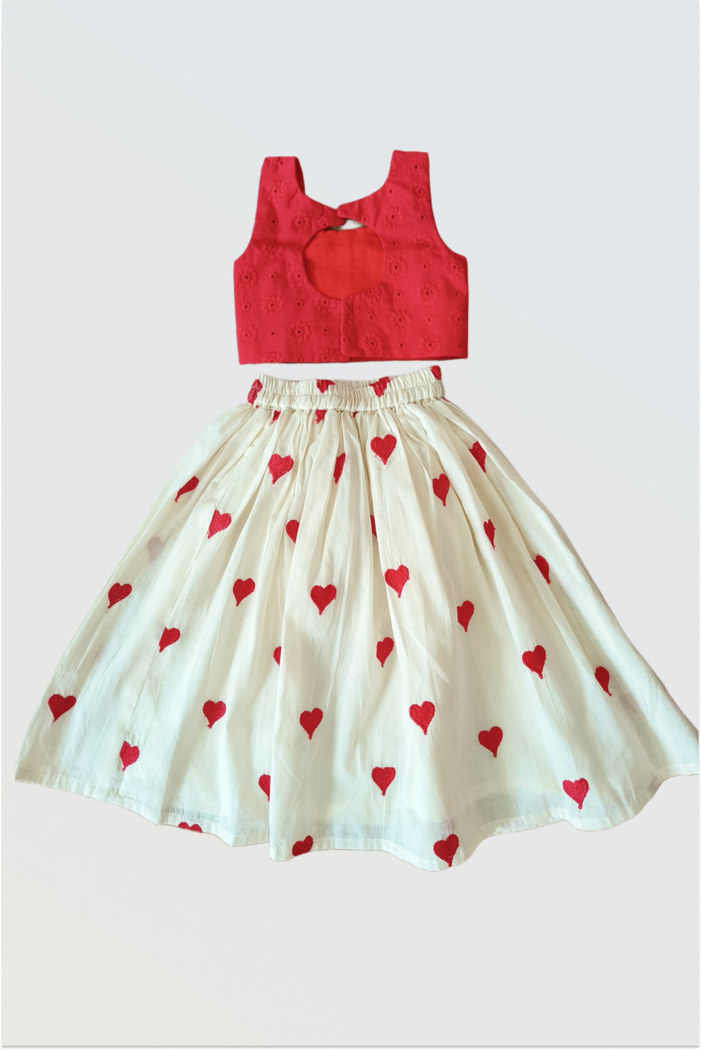 Dil Se lehanga set - New (premium quality hakoba)