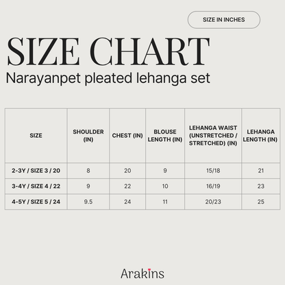Narayanpet pleated lehanga set