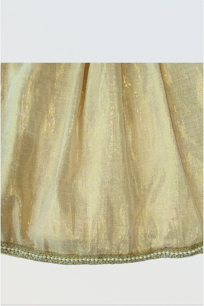 Close up of brocade fabric showing traditional paisley motif pattern and woven texture